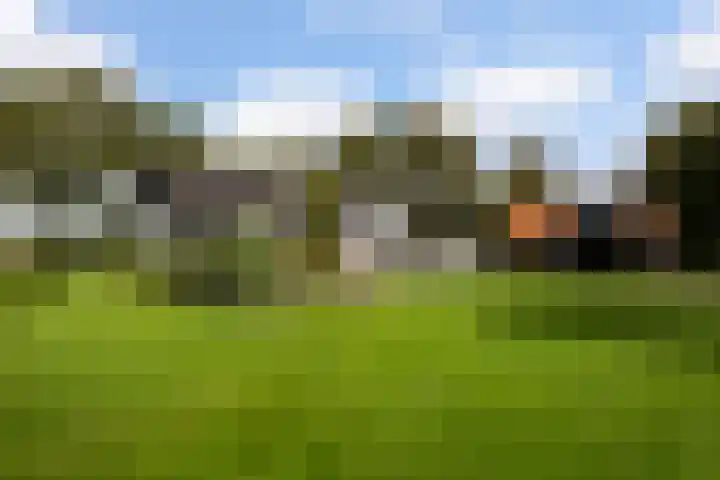 Gerner Es 26 Dalfsen thumbnail 36
