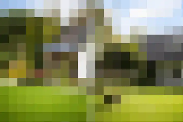 Gerner Es 26 Dalfsen thumbnail 38