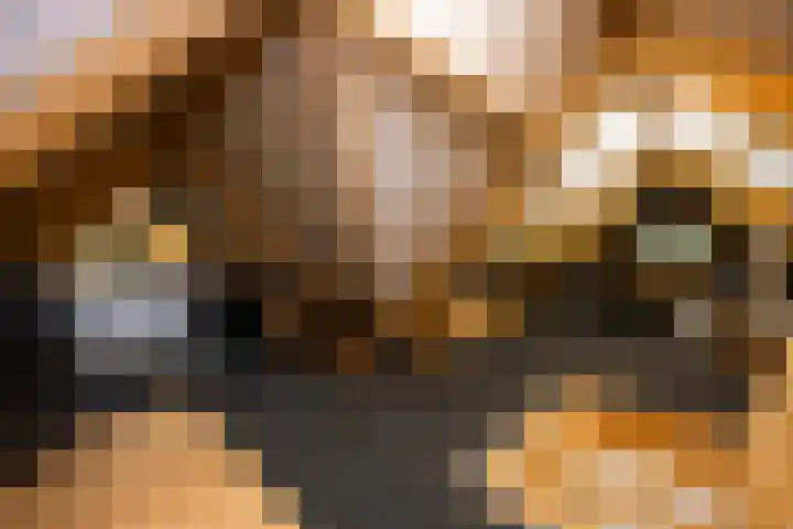 Gerner Es 26 Dalfsen thumbnail 42