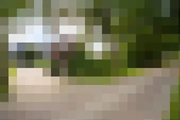 Gerner Es 26 Dalfsen thumbnail 44