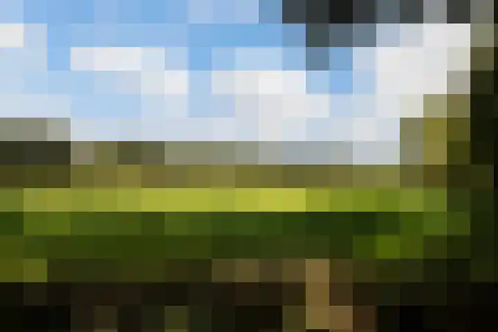 Gerner Es 26 Dalfsen thumbnail 45