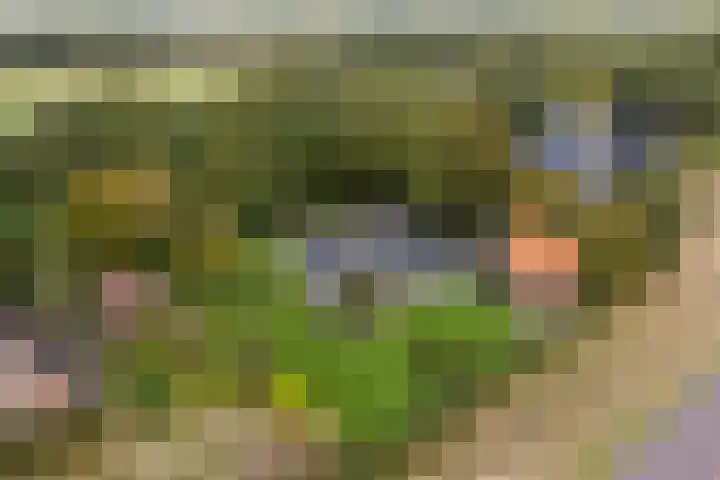 Gerner Es 26 Dalfsen thumbnail 46
