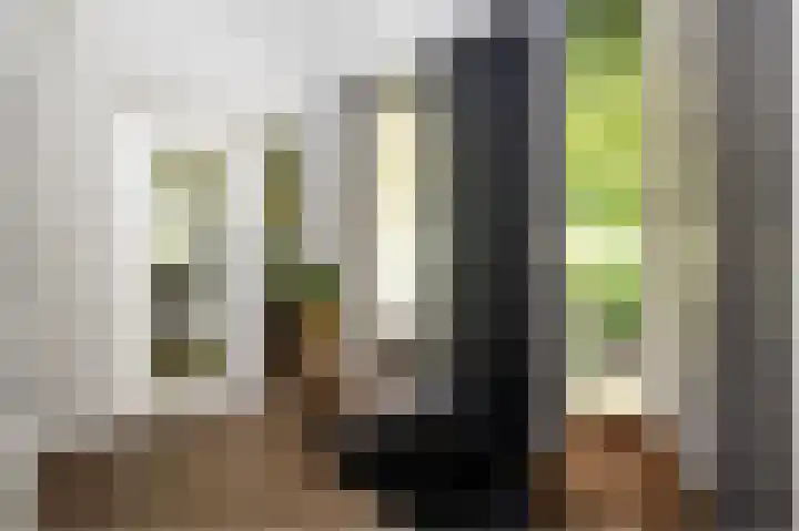 Gerner Es 26 Dalfsen thumbnail 6