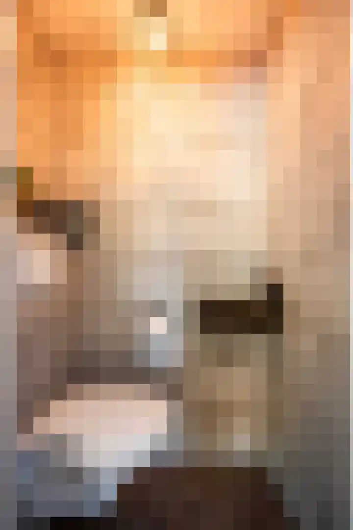 Gerner Es 26 Dalfsen thumbnail 7
