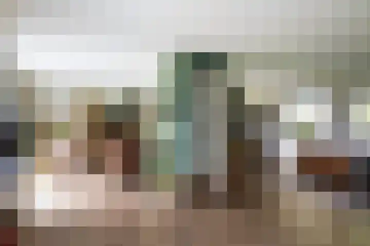 Gerner Es 26 Dalfsen thumbnail 8
