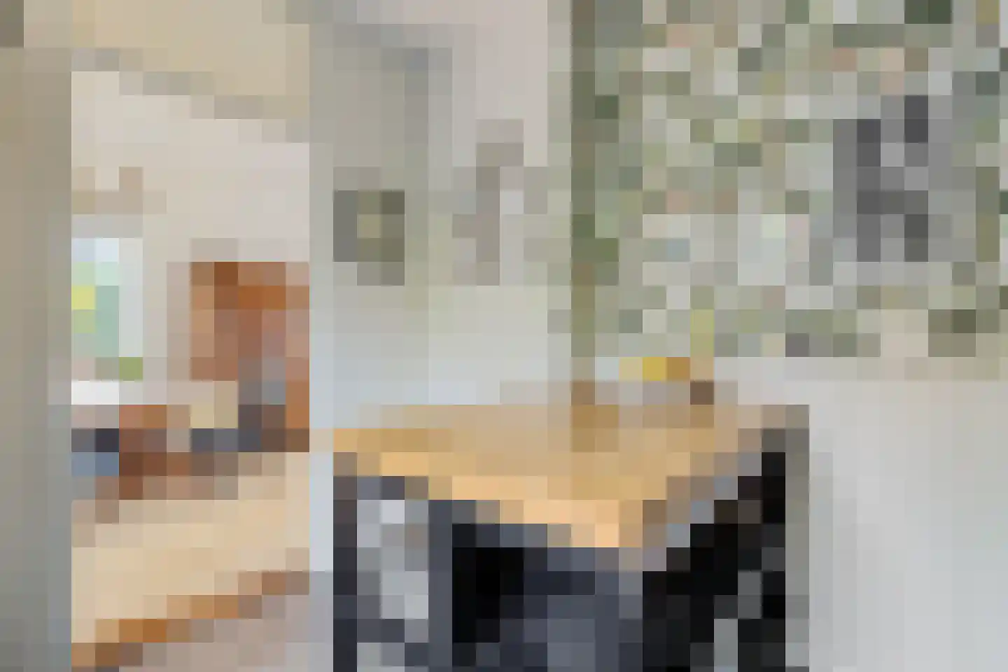 Gerniersstee 2 Eanjum thumbnail 12