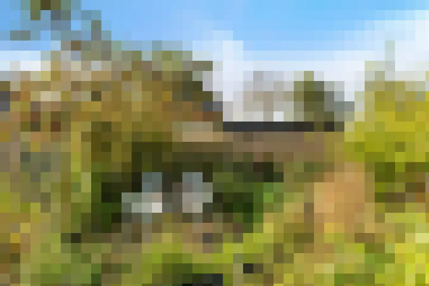 Gerniersstee 2 Eanjum thumbnail 29