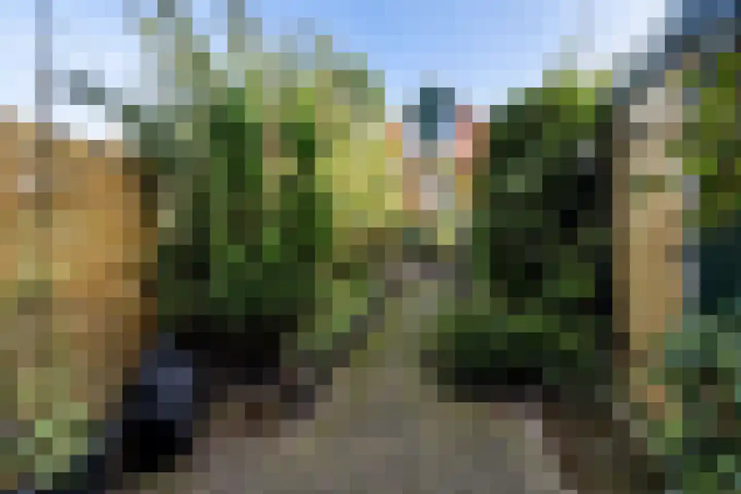 Gerniersstee 2 Eanjum thumbnail 31