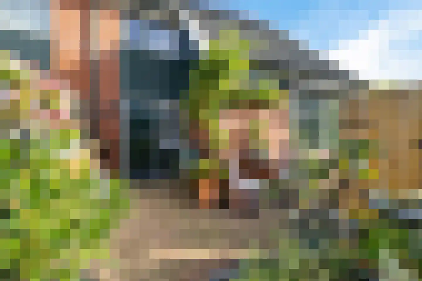Gerniersstee 2 Eanjum thumbnail 5