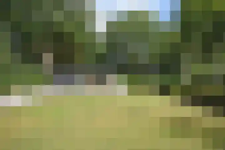 Gerniersstrjitte 1 Burgum thumbnail 12