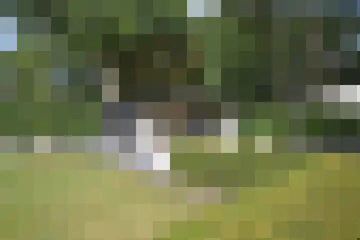 Gerniersstrjitte 1 Burgum thumbnail 13