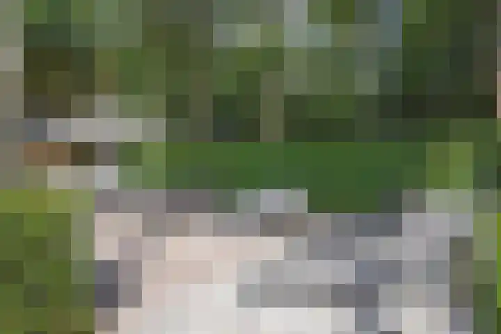 Gerniersstrjitte 1 Burgum thumbnail 14
