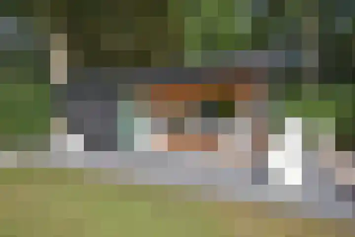 Gerniersstrjitte 1 Burgum thumbnail 16