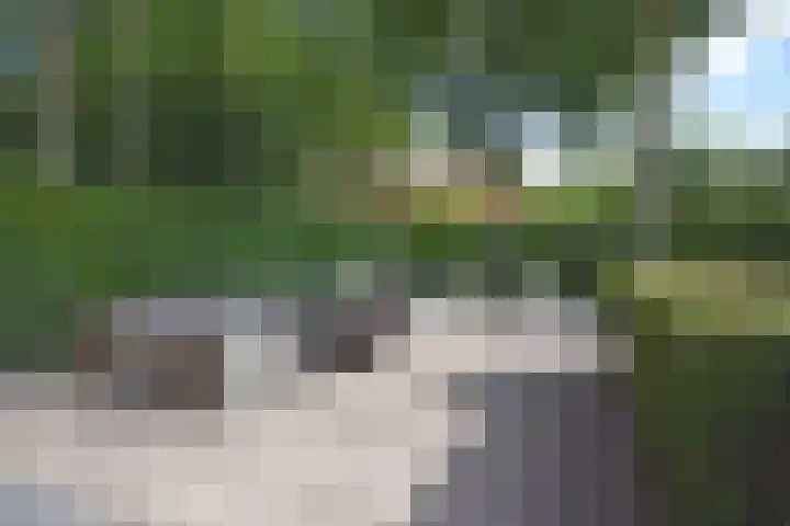 Gerniersstrjitte 1 Burgum thumbnail 18