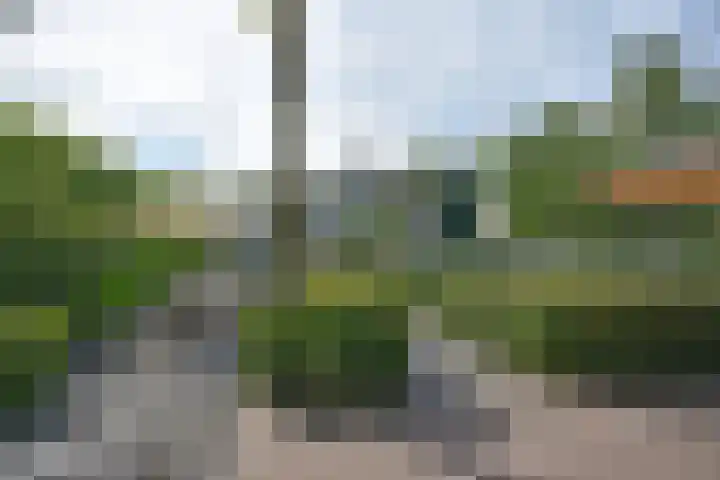 Gerniersstrjitte 1 Burgum thumbnail 19