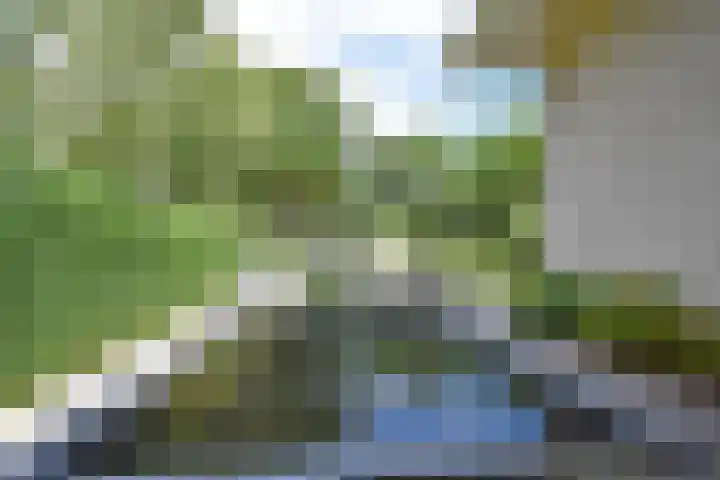 Gerniersstrjitte 1 Burgum thumbnail 23