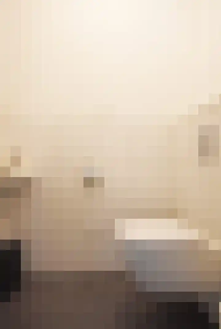 Gerniersstrjitte 1 Burgum thumbnail 27
