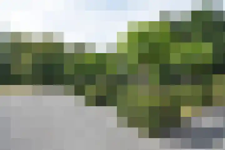 Gerniersstrjitte 1 Burgum thumbnail 5