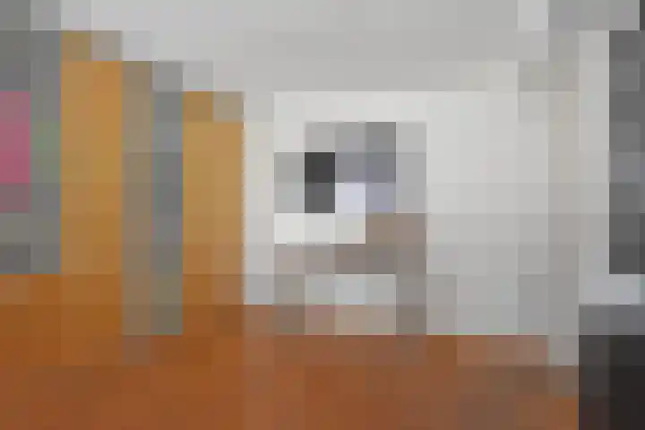 Gerniersstrjitte 1 Burgum thumbnail 59