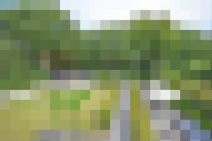 Gerniersstrjitte 1 Burgum thumbnail 62