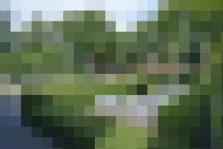 Gerniersstrjitte 1 Burgum thumbnail 9