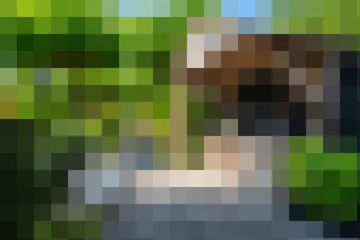 Gerniersstrjitte 11 Burgum thumbnail 10