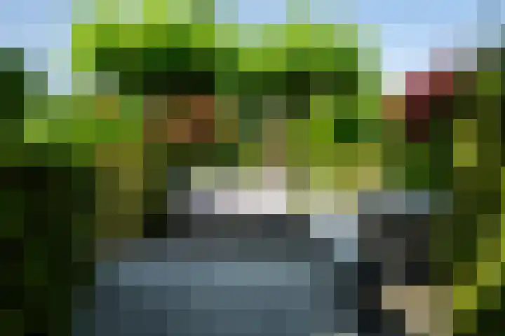 Gerniersstrjitte 11 Burgum thumbnail 11