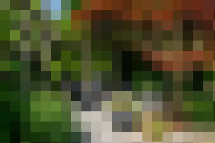Gerniersstrjitte 11 Burgum thumbnail 13