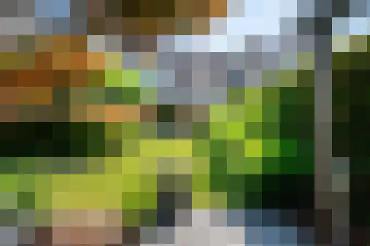 Gerniersstrjitte 11 Burgum thumbnail 14