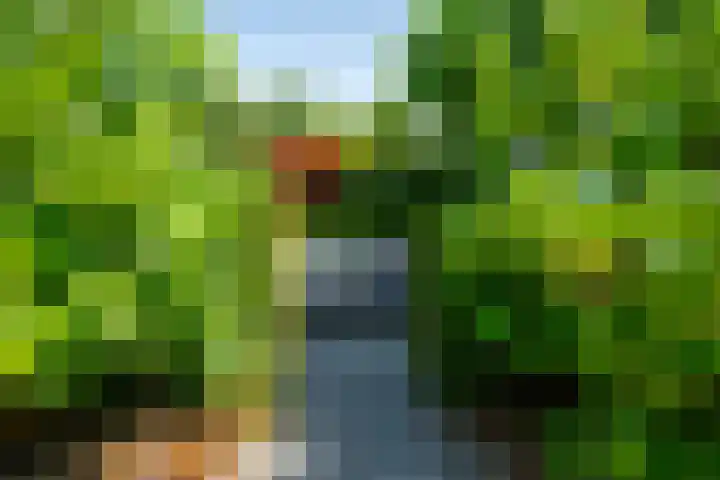 Gerniersstrjitte 11 Burgum thumbnail 16