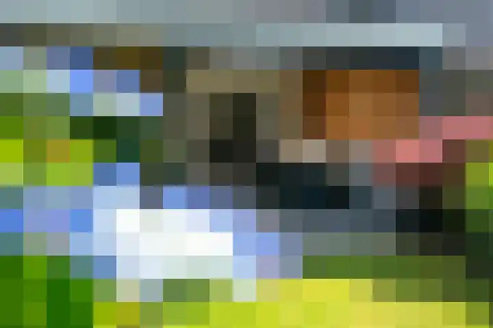 Gerniersstrjitte 11 Burgum thumbnail 17