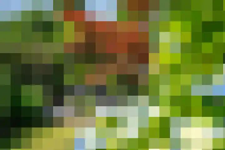 Gerniersstrjitte 11 Burgum thumbnail 18