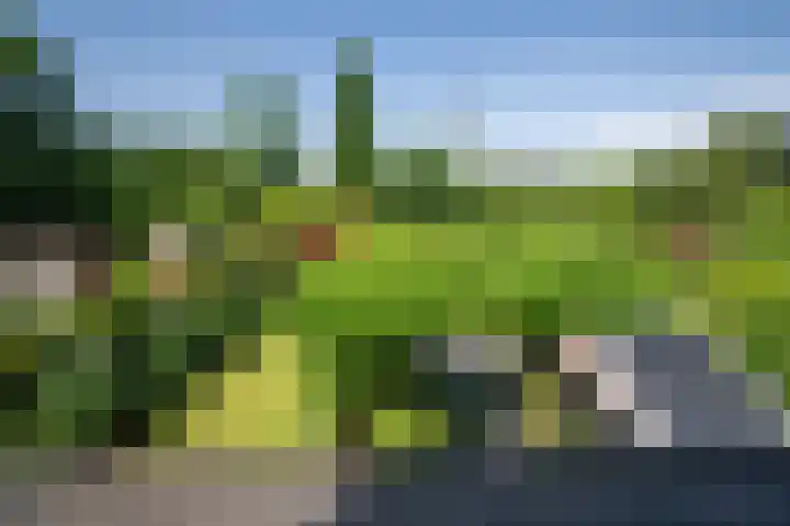 Gerniersstrjitte 11 Burgum thumbnail 19