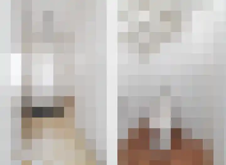 Gerniersstrjitte 11 Burgum thumbnail 21