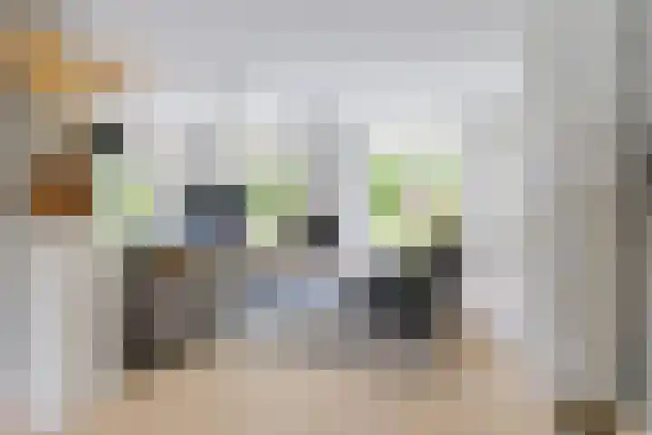 Gerniersstrjitte 11 Burgum thumbnail 22