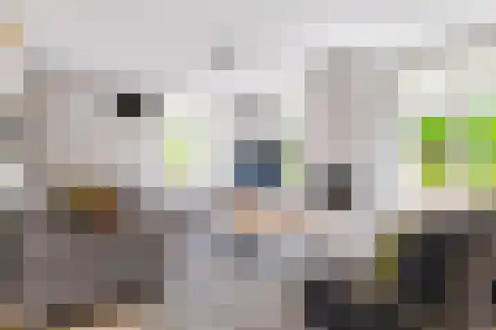 Gerniersstrjitte 11 Burgum thumbnail 23