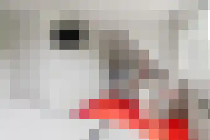 Gerniersstrjitte 11 Burgum thumbnail 35