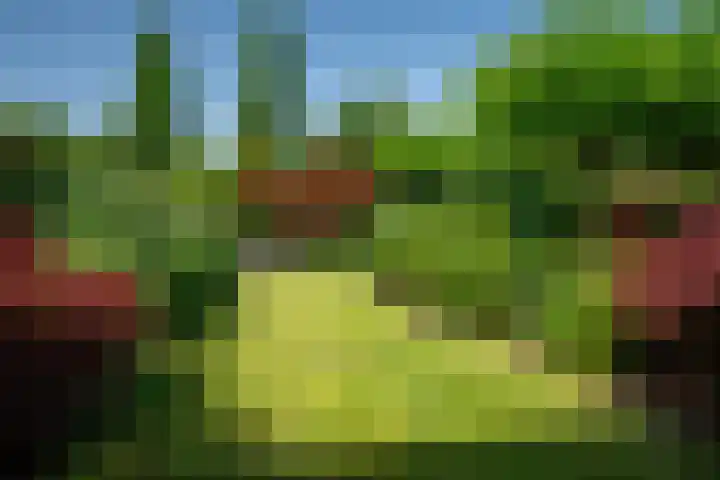 Gerniersstrjitte 11 Burgum thumbnail 4