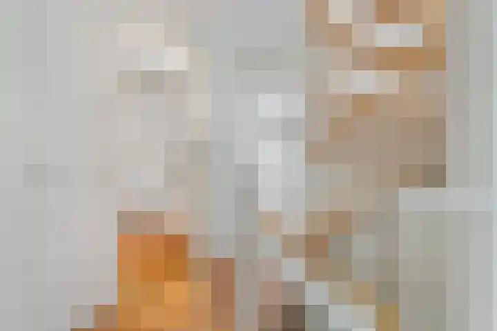 Gerniersstrjitte 11 Burgum thumbnail 42