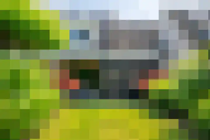 Gerniersstrjitte 11 Burgum thumbnail 7
