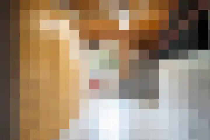 Gerniersstrjitte 15 Burgum thumbnail 17