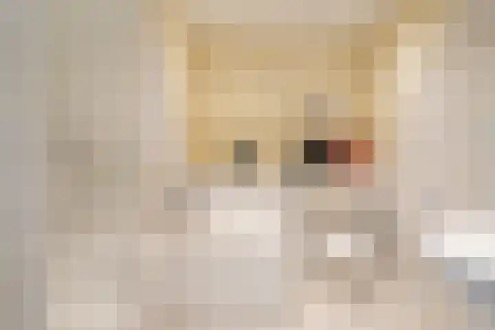 Gerniersstrjitte 15 Burgum thumbnail 21