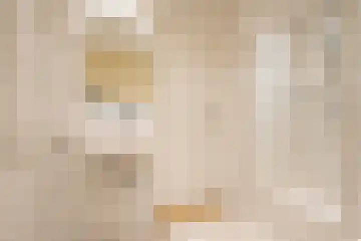 Gerniersstrjitte 15 Burgum thumbnail 23