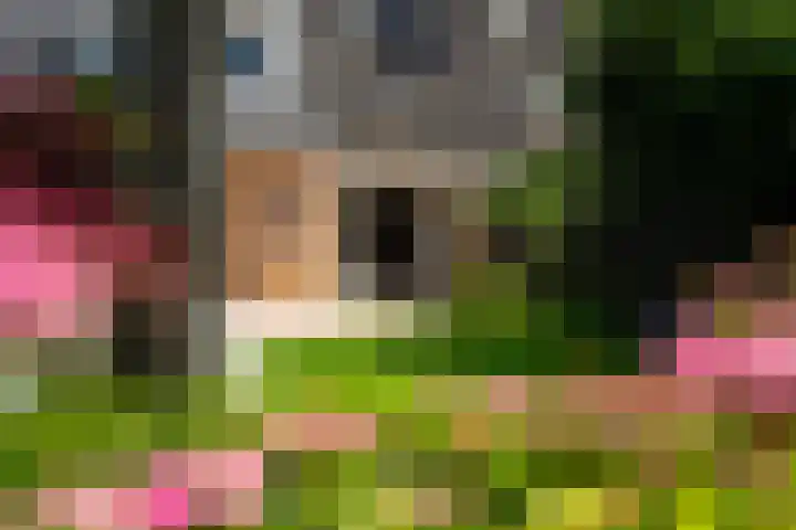 Gerniersstrjitte 15 Burgum thumbnail 40