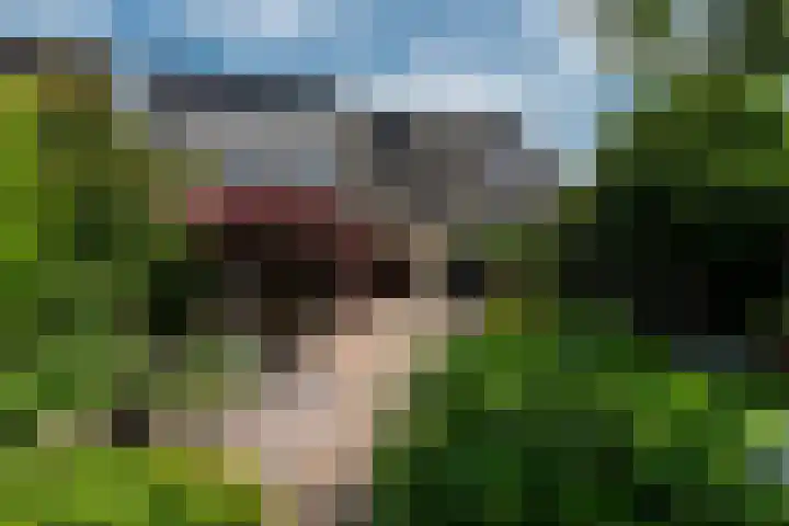 Gerniersstrjitte 15 Burgum thumbnail 41
