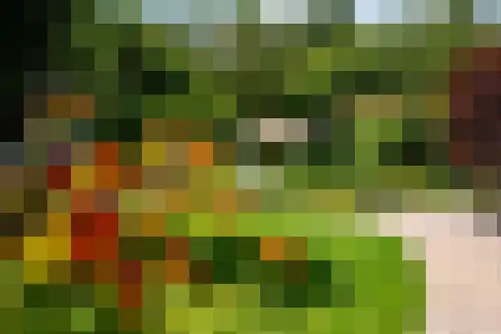 Gerniersstrjitte 15 Burgum thumbnail 43
