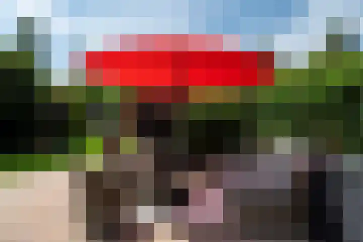 Gerniersstrjitte 15 Burgum thumbnail 45