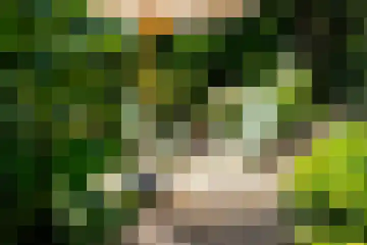 Gerniersstrjitte 15 Burgum thumbnail 46