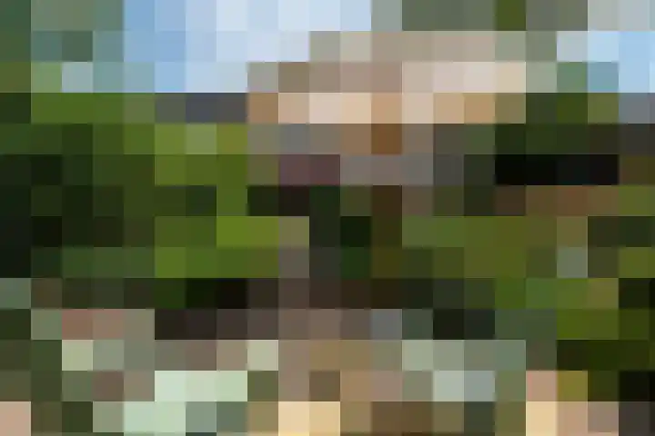 Gerniersstrjitte 15 Burgum thumbnail 47