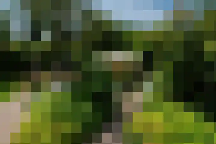 Gerniersstrjitte 15 Burgum thumbnail 48